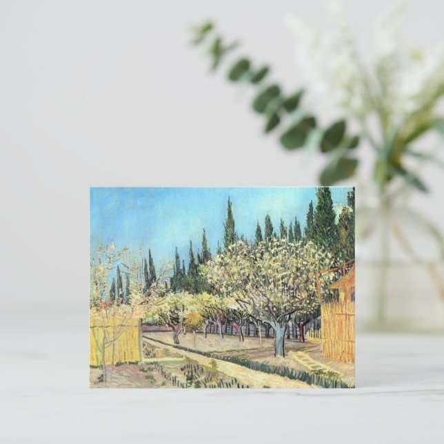 Van Gogh Fruktträdgården i blom, kantad av cypress Vykort (Stående Fram)