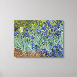 Van Gogh Irisar Fint Konstverk Canvastryck