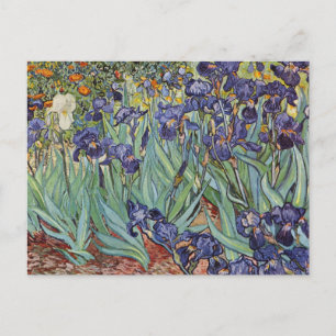 Van Gogh Iriser Impressionistisk Målning Vykort