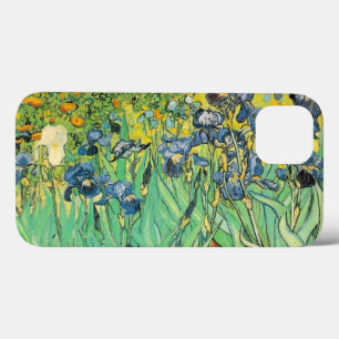 Van Gogh Irises