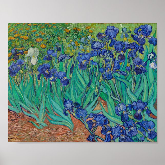 van Gogh - Irises (1889) Poster (Framsidan)