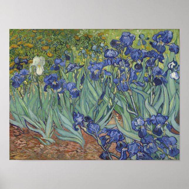 van Gogh Irises Affisch (Framsidan)