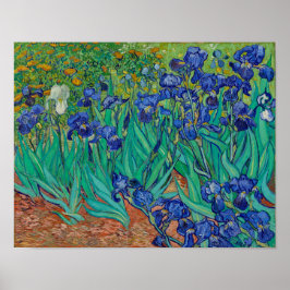 Van Gogh Irises Blommigt Painting Poster