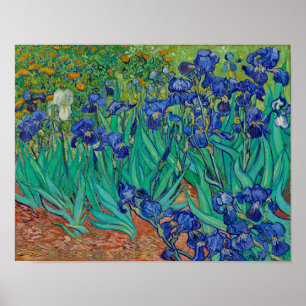 Van Gogh Irises Blommigt Painting Poster