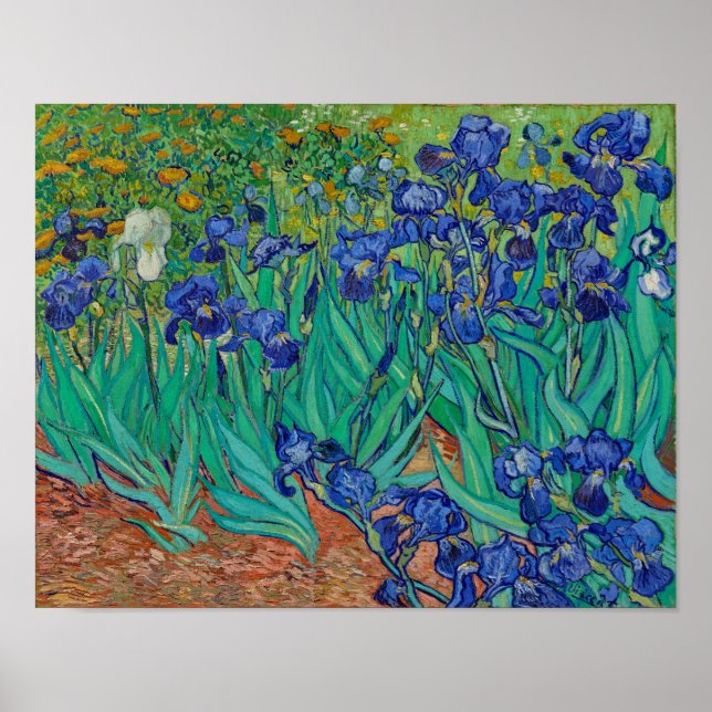 Van Gogh Irises Blommigt Painting Poster (Framsidan)