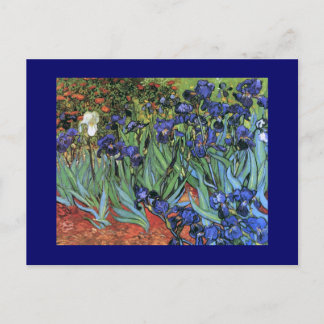 Van Gogh Irises (F608) Vintage Fine Art Vykort