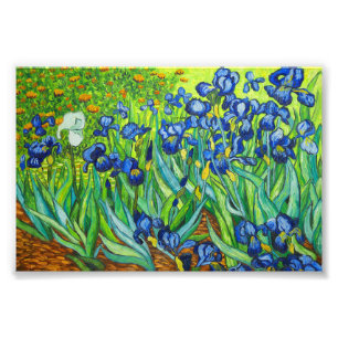 Van Gogh Irises Fototryck