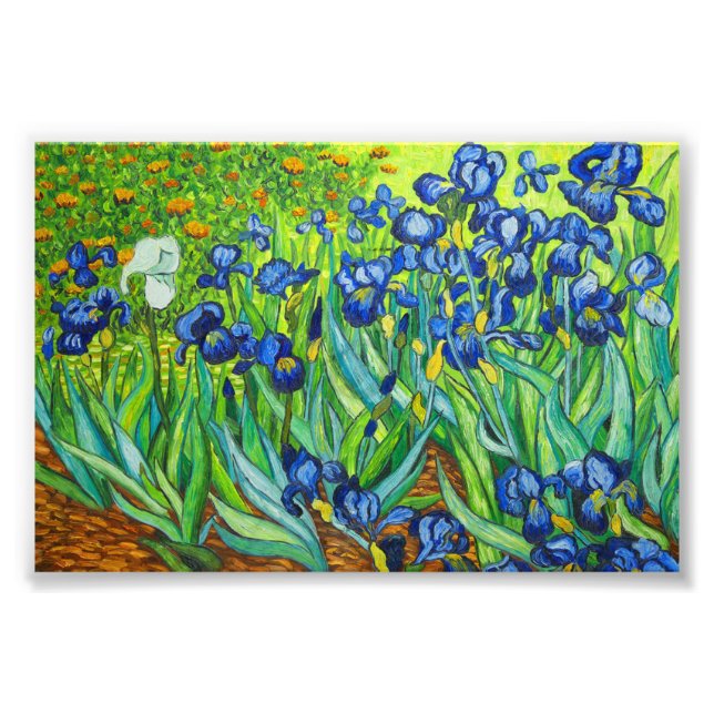 Van Gogh Irises Fototryck (Framsidan)
