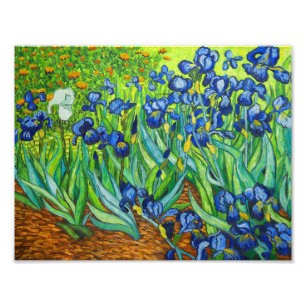 Van Gogh Irises Fototryck