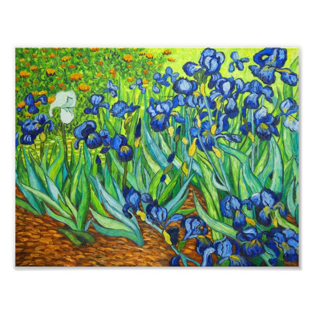 Van Gogh Irises Fototryck (Framsidan)