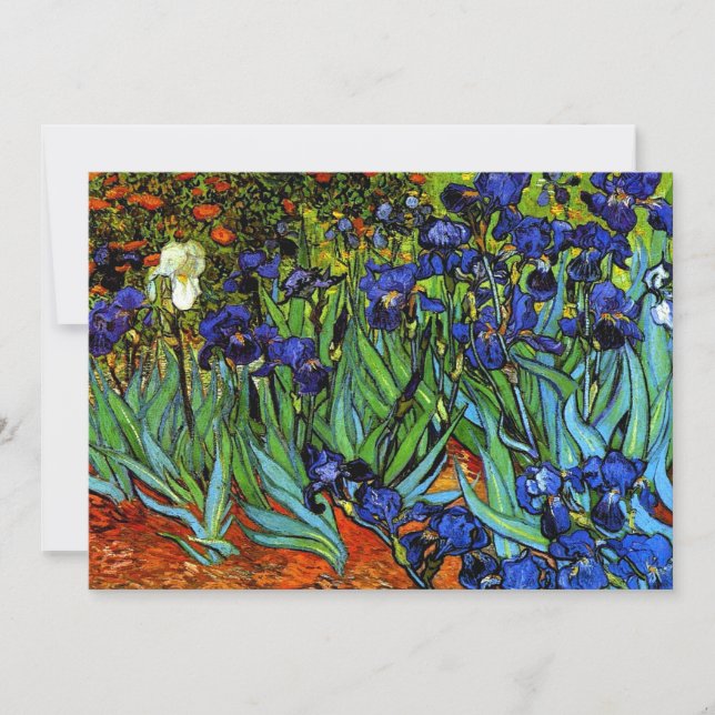 Van Gogh - Irises Greeting Card (Framsida)