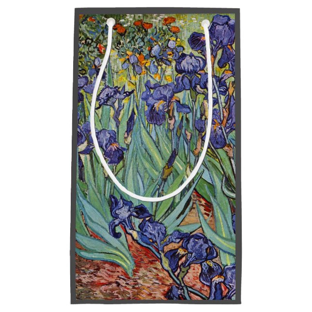 Van Gogh Irises Impressionist Painting (Framsidan)