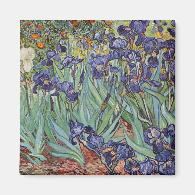 Van Gogh Irises Impressionist Painting Magnet (Framsidan)