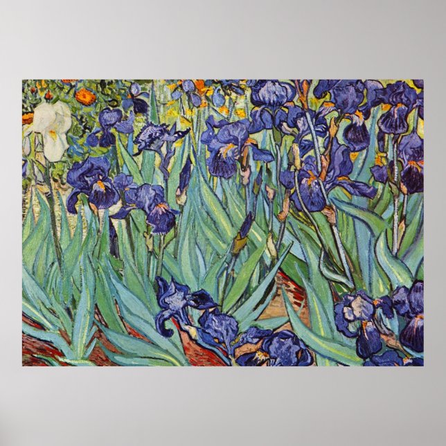 Van Gogh Irises Impressionist Painting Poster (Framsidan)