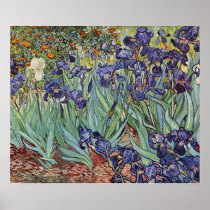 Van Gogh Irises Impressionist Painting Poster