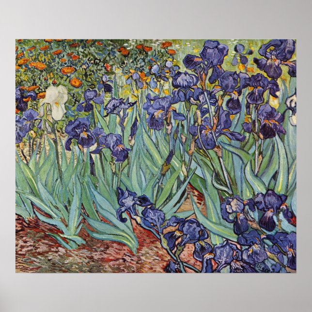 Van Gogh Irises Impressionist Painting Poster (Framsidan)