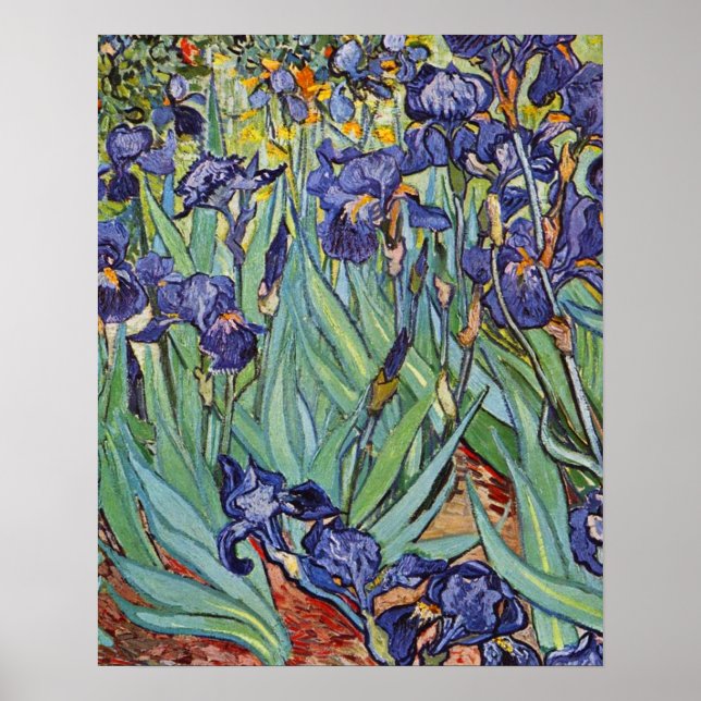 Van Gogh Irises Impressionist Painting Poster (Framsidan)