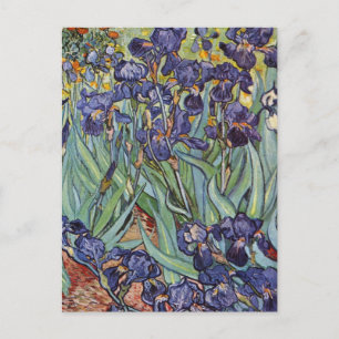 Van Gogh Irises Impressionist Painting Vykort