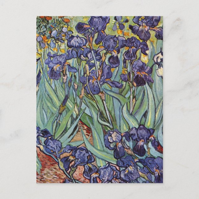 Van Gogh Irises Impressionist Painting Vykort (Framsida)