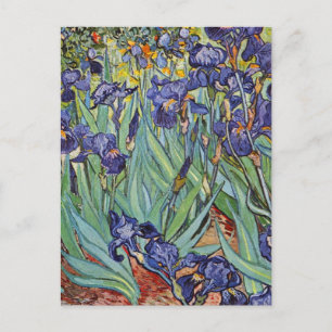 Van Gogh Irises Impressionist Painting Vykort