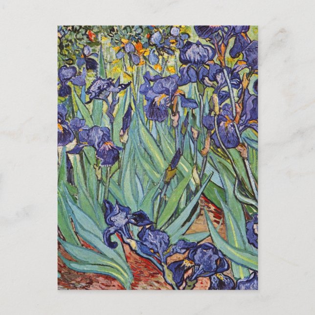 Van Gogh Irises Impressionist Painting Vykort (Framsida)