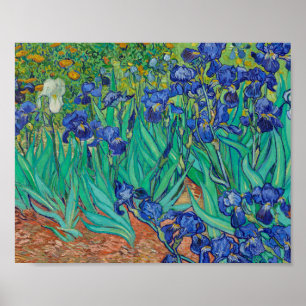 Van Gogh Irises Painting Poster