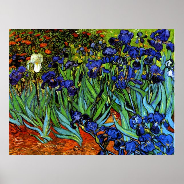 Van Gogh - Irises Poster (Framsidan)