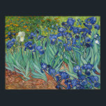 Van Gogh - Irises Poster<br><div class="desc">Iriserar av Vincent Van Gogh. Om du vill ha mer bilder från Zedign Art Series Bok 38 "Vincent Van Gogh - Paintings & Teckning Vol 3" kan du besöka https://books.zedign.com/zas/38.html</div>
