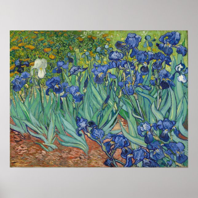 Van Gogh - Irises Poster (Framsidan)