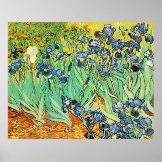 Van Gogh Irises Poster