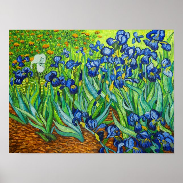 Van Gogh Irises Poster (Framsidan)