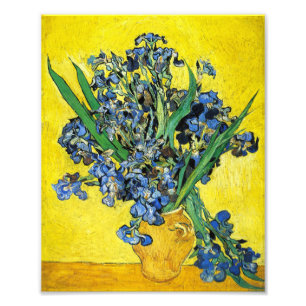 Van Gogh Irises Print Fototryck