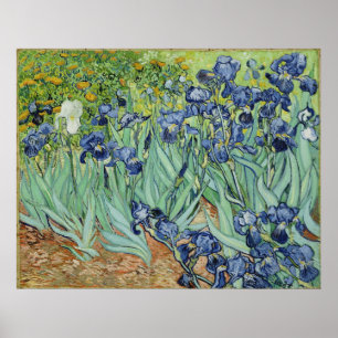 Van Gogh Irises, Vintage Post impressionism Art Poster