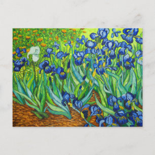 Van Gogh Irises Vykort