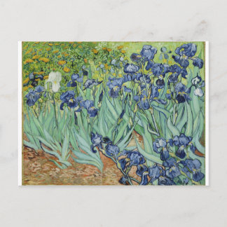 Van Gogh Irises Vykort