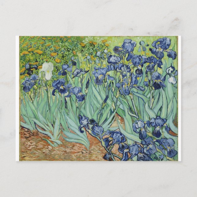 Van Gogh Irises Vykort (Framsida)