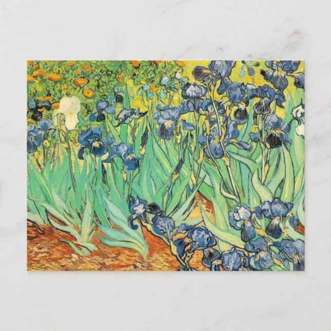 Van Gogh Irises Vykort (Framsida)