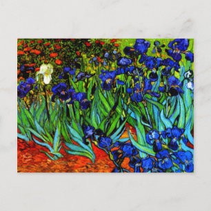 Van Gogh - Irises Vykort