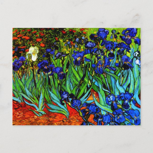 Van Gogh - Irises Vykort (Framsida)