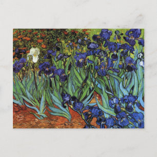 Van Gogh Irises vykortet Vykort