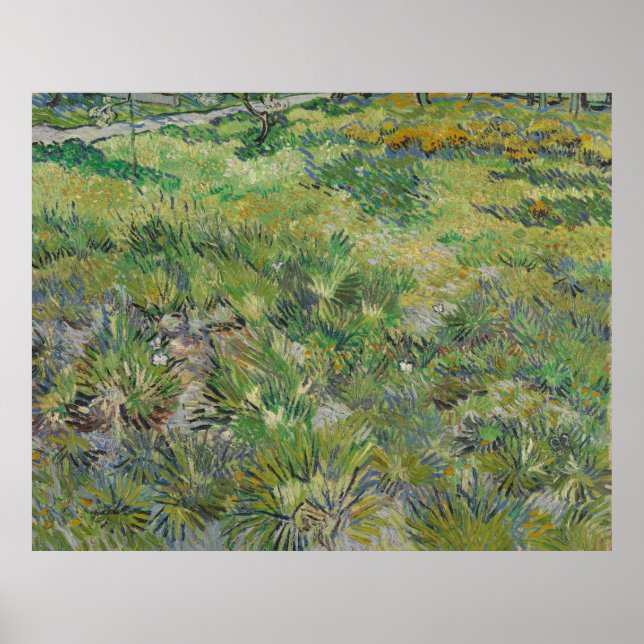 Van Gogh, Long Grass with Butterflies Poster (Framsidan)
