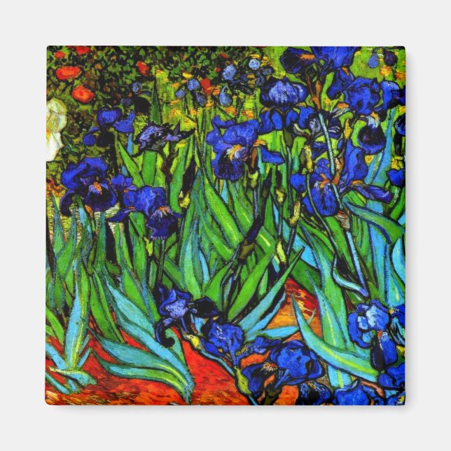 Van Gogh-målning, Irises, Magnet (Framsidan)