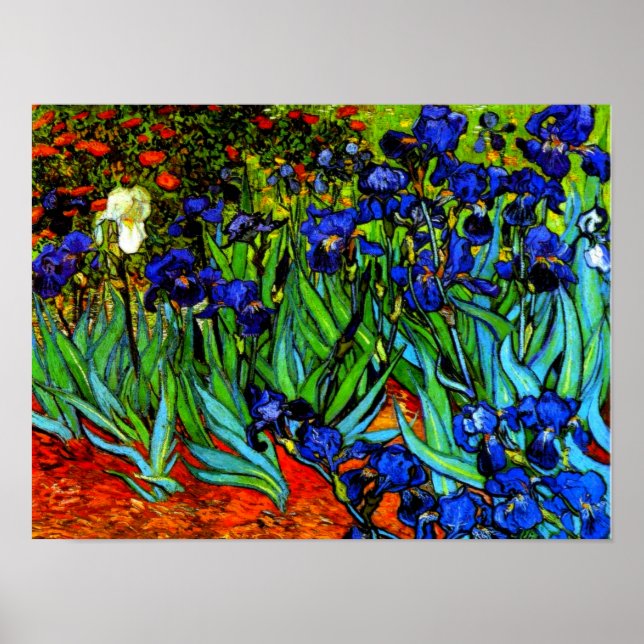 Van Gogh-målning, Irises, Poster (Framsidan)