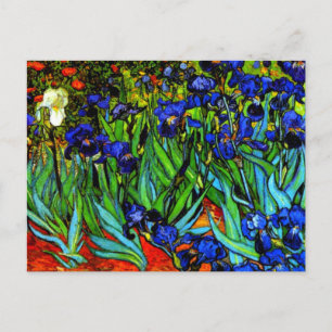 Van Gogh-målning, Irises, Vykort