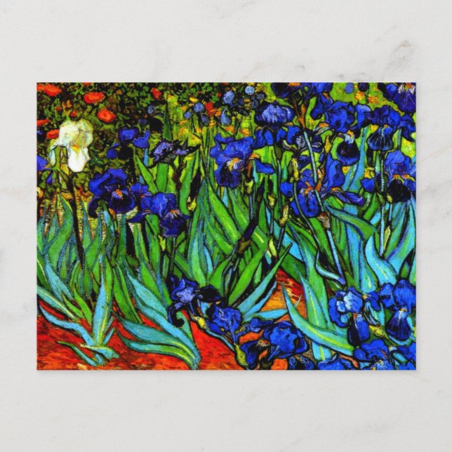 Van Gogh-målning, Irises, Vykort (Framsida)