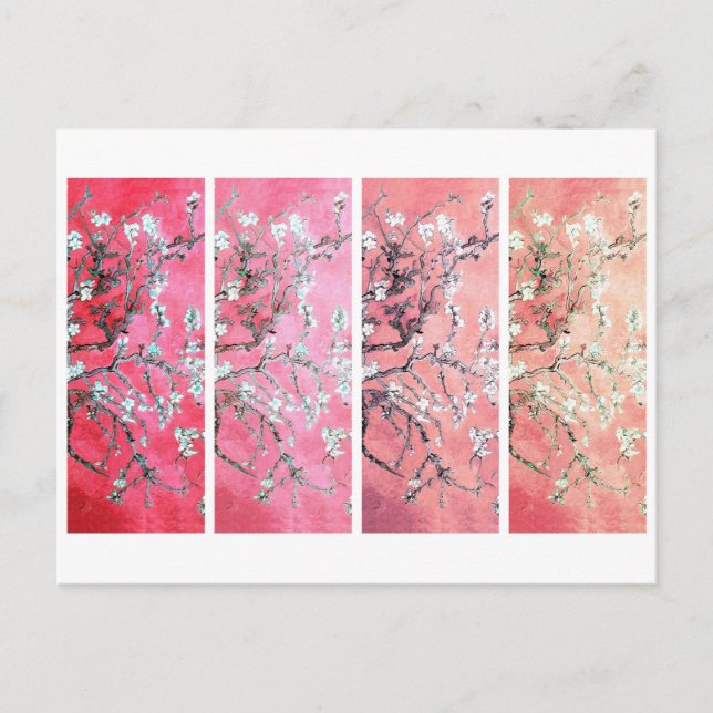 Van Gogh Mandelblomningar Mörk Rosa Fersken Gradie Vykort (Framsida)