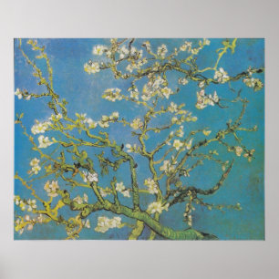 Van Gogh Mandelgrenstryck Poster