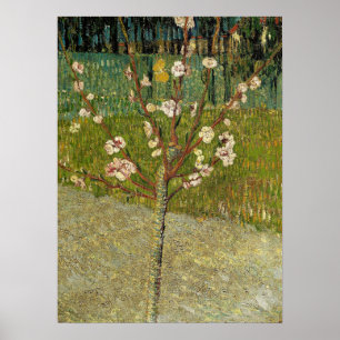 Van Gogh - Mandelträd i blom Poster