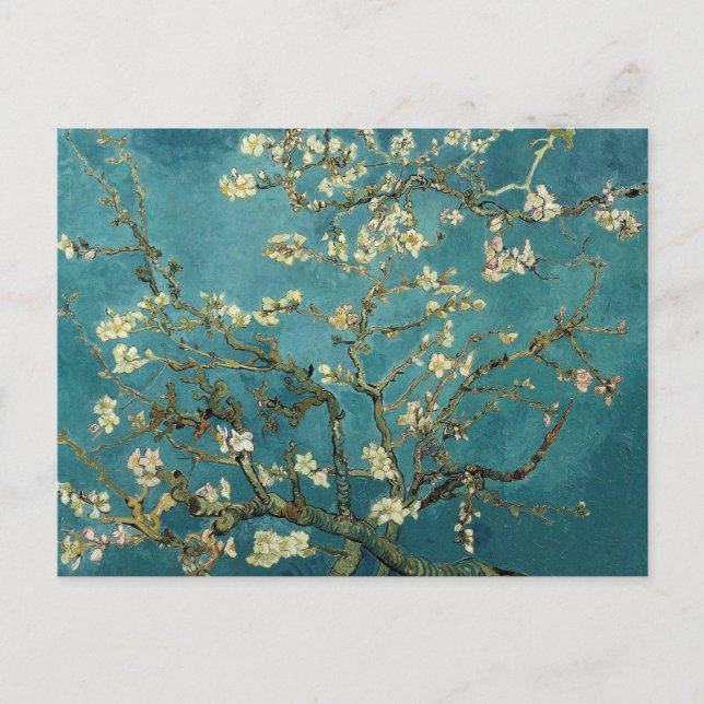 Van Gogh - Mandelträd i blom Vykort (Framsida)