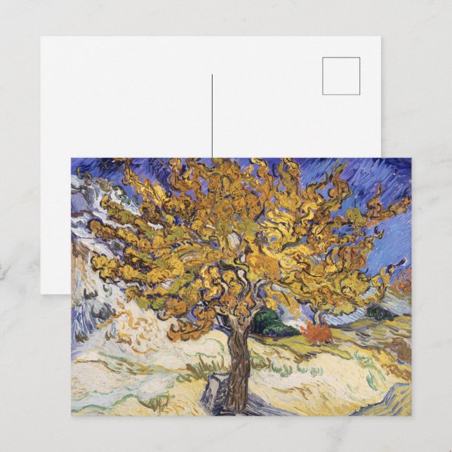Van Gogh Mörbärsträd Gul Virvel Konst Vykort (Fram/baksida)